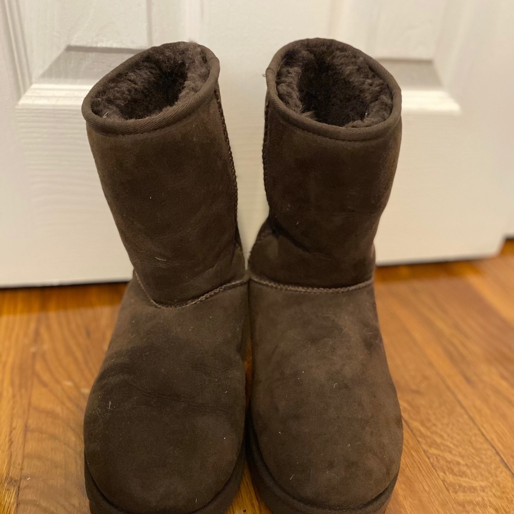 UGGS—CLASSIC SHORT CHOCOLATE BROWN